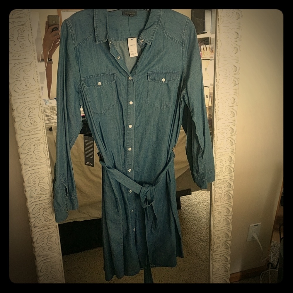Jean dress, with long sleeves!
